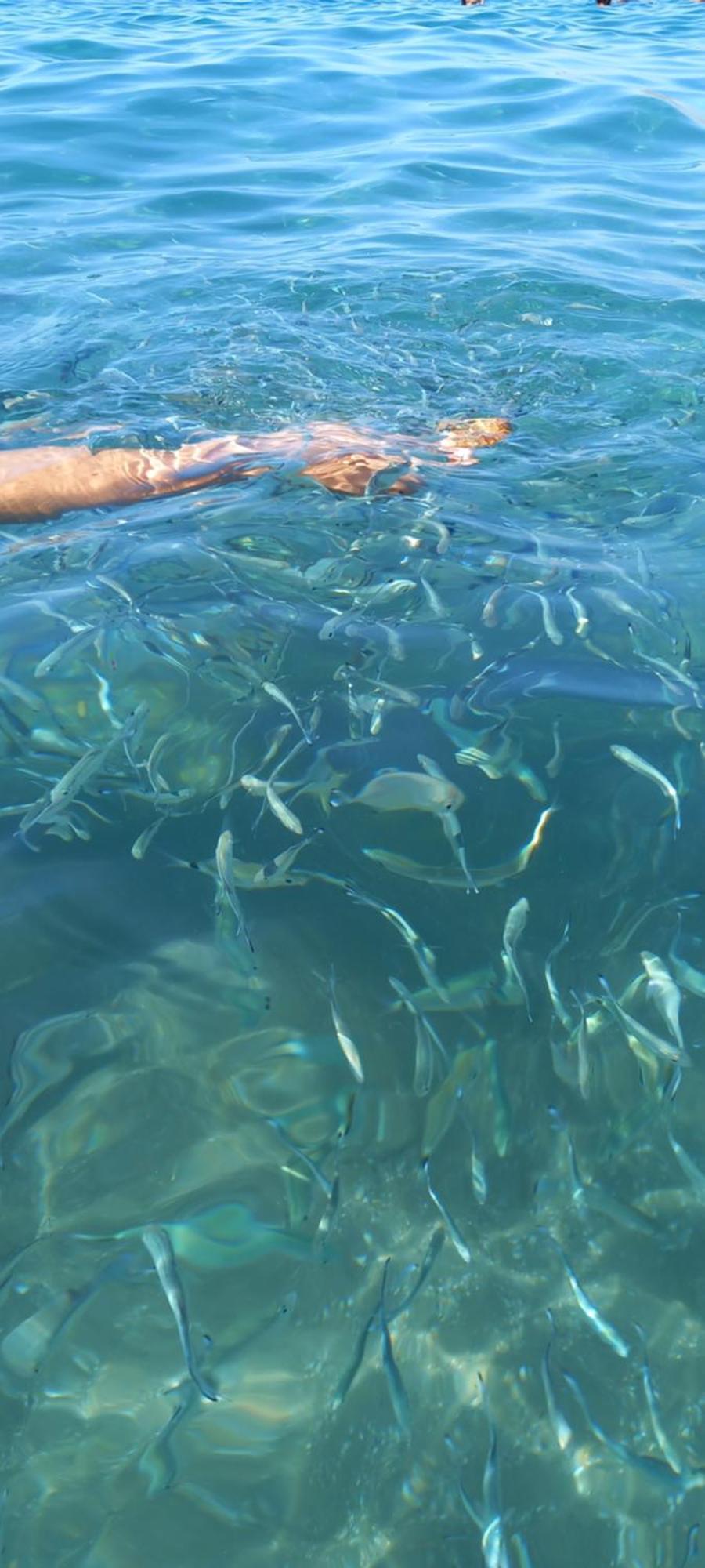 Costa De Almeria Quesada Lägenhet Exteriör bild